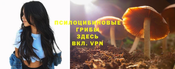 мяу мяу мука Арсеньев
