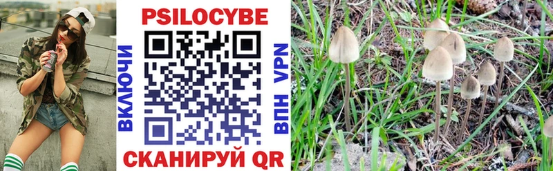 Псилоцибиновые грибы Psilocybine cubensis  даркнет сайт  Медынь 
